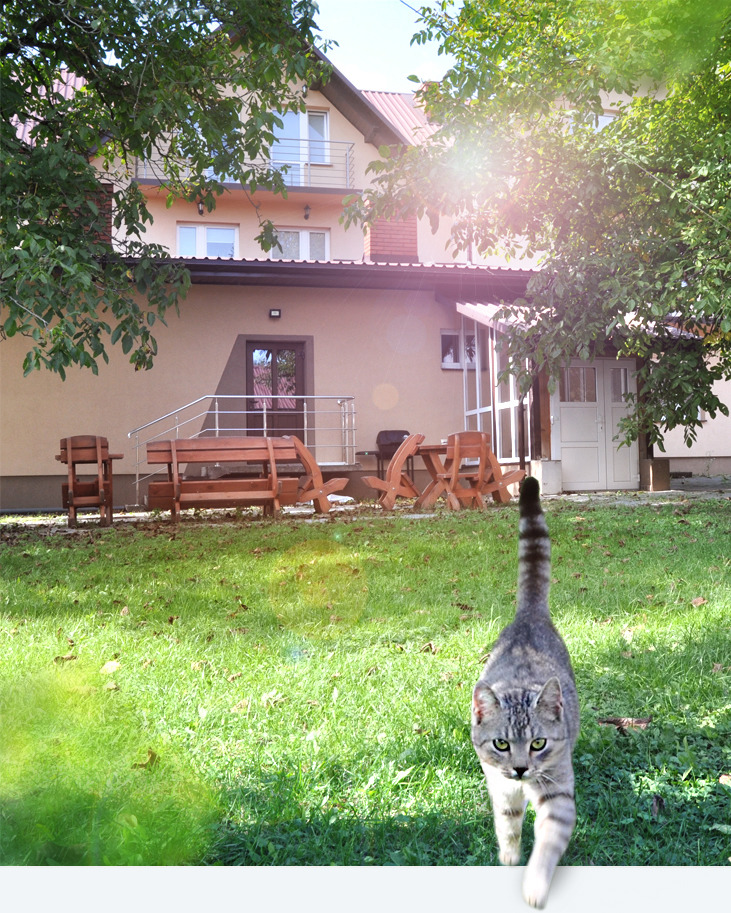 Sprawdź propozycję noclegów na Roztoczu w atrakcyjnej cenie Agroturystyka Dyle oferuje tanie noclegi na Roztoczu