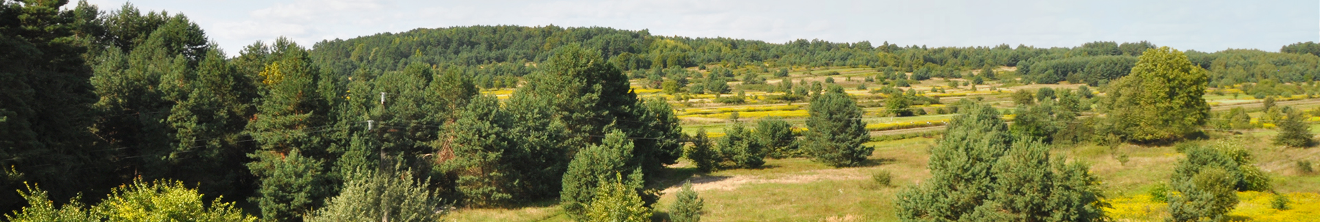 Skorzystaj z atrakcyjnej oferty agroturystyki na Roztoczu Agroturystyka Dyle zapewnia wspaniały odpoczynek o każdej porze roku